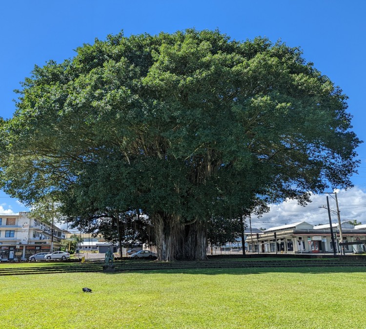 Kalakaua Park (Hilo,&nbspHI)